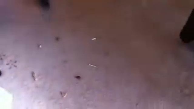 Robotic Vacuum Cleaner Evaluation смотреть онлайн