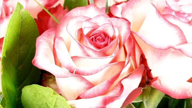 Почему было запрещено жениться на жёнах Посланника Аллаха (ﷺ)? смотреть онлайн