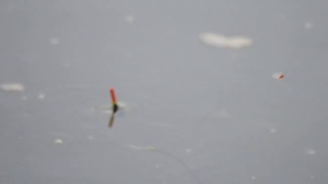 nikon D3100 смотреть онлайн