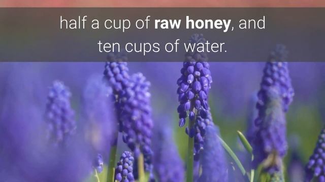 What to make with Lavender ⭕⭕⭕ Help you Sleep at Night Naturally смотреть онлайн