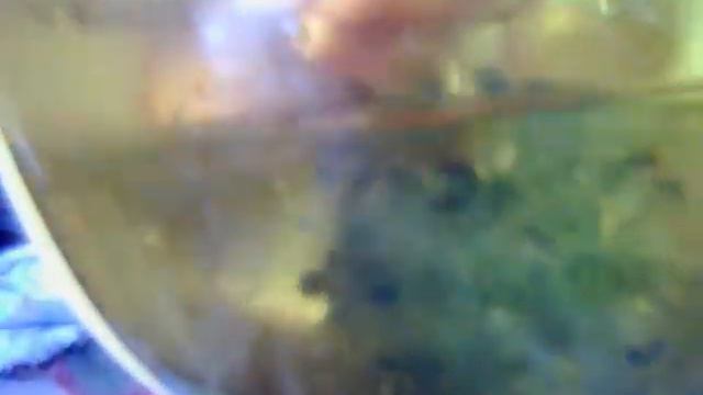 заморозил шарики орбиз (часть 2) смотреть онлайн