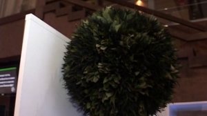 Совет. Процесс стабилизации цветов