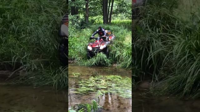 Cf moto x6 смотреть онлайн