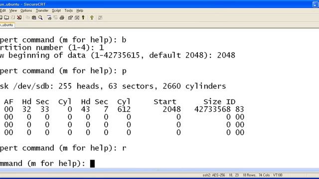 Linux new disk add ( command : fdisk , mkfs.ext4 , blkid , mount ) смотреть онлайн