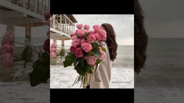 Роза гүлү жөнүндө кызыктуу маалымат 👀😍 смотреть онлайн