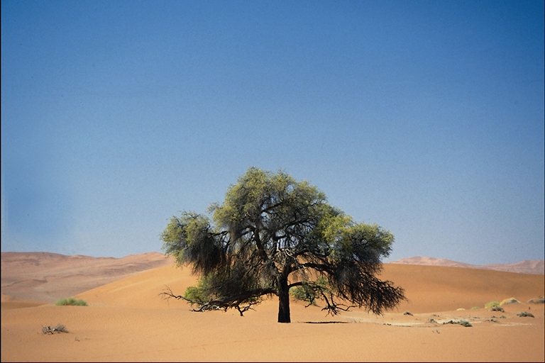 Манипуляции. Виды манипуляций. Как защититься от манипуляций