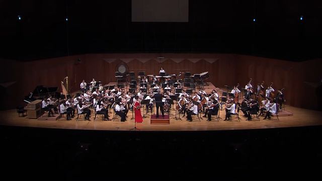 Tchaikovsky Violin Concerto 1st Mvmt