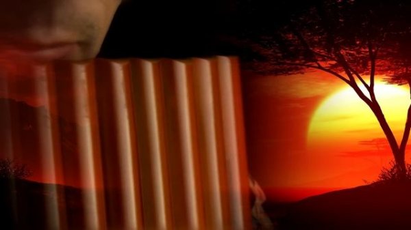 Одинокая Флейта. Lonely Flute. Love me tender. Панфлейта. Panflute.