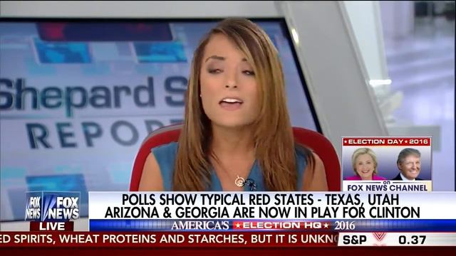 Kristin Tate on Shepard Smith Reporting with Harris Faulker смотреть онлайн