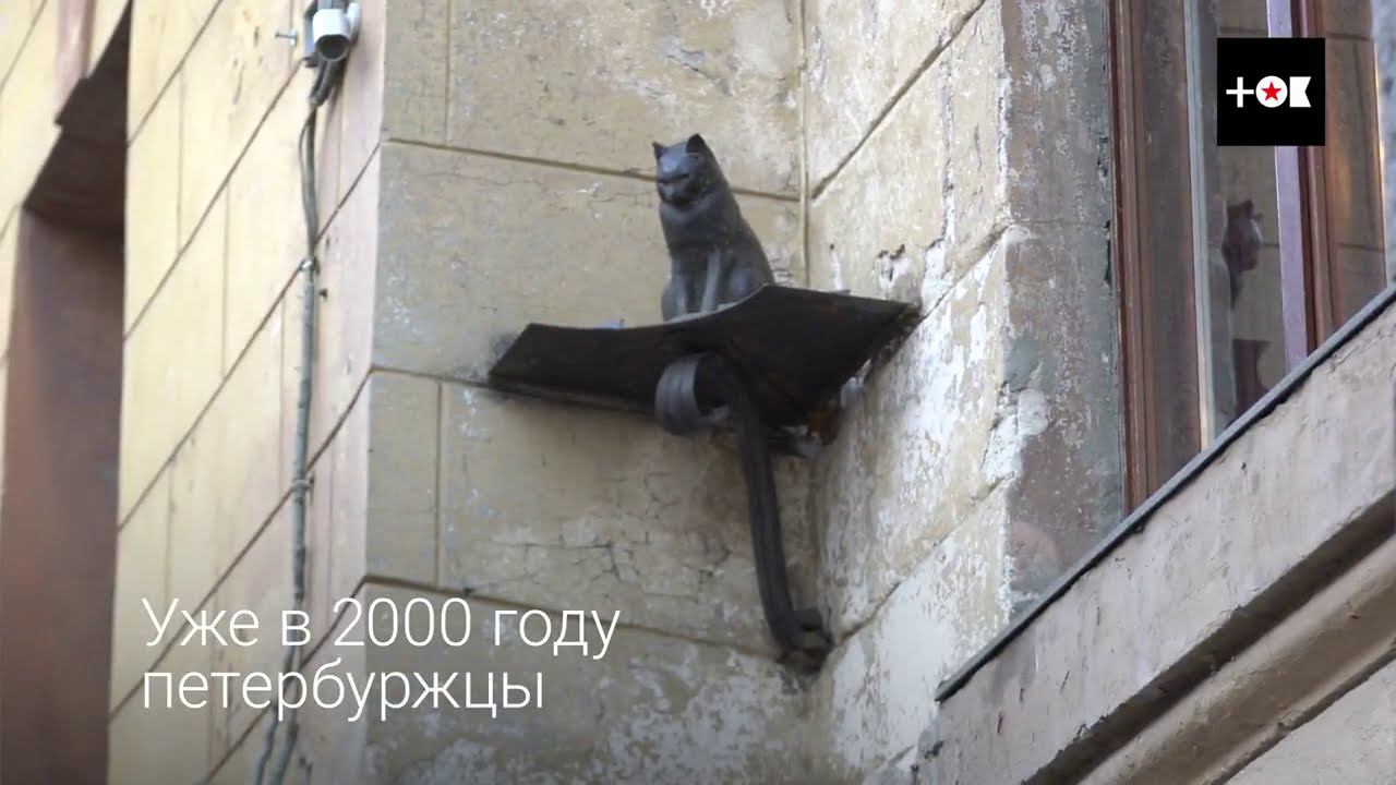 Как коты помогали выжить ленинградцам в годы блокады. смотреть онлайн