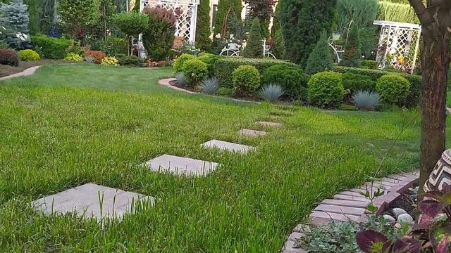 Назад в лето 2021. Ностальгия. Ждем весну. смотреть онлайн