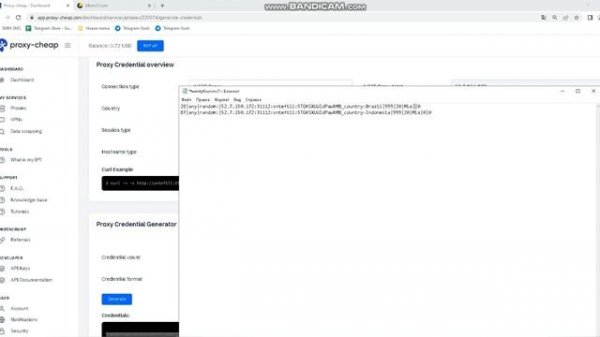MultiGeoRegger.com , working on 24sms7.com , registration telegram accounts