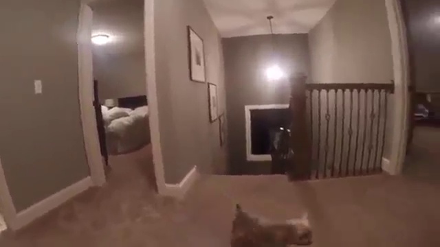 Родители надели на малыша экшн камеру и поиграли с ним в прятки смотреть онлайн