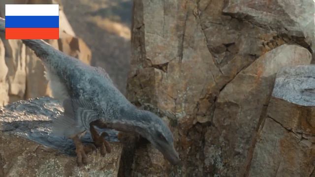 Распаковка «Супер Динозавры & ко Maxxi».