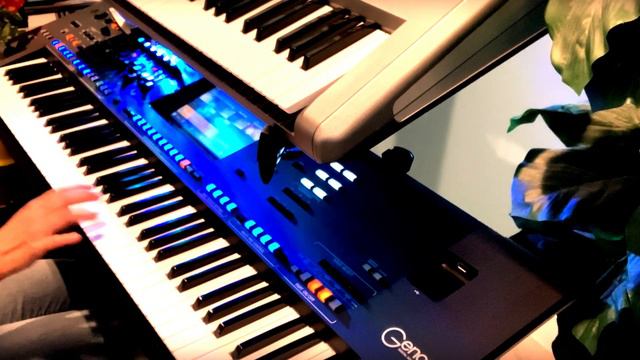 Touch My Heart - Danuta - Cover on Yamaha Genos смотреть онлайн