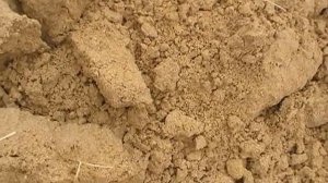 Пивная дробина. 100% сохранность сырой пивной дробины БИОконсервантом АГРОБИОБАК