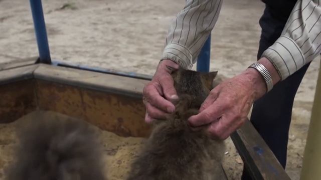 Учебная Студия Княжна Дарья - Возрождение общечеловеческих ценностей смотреть онлайн