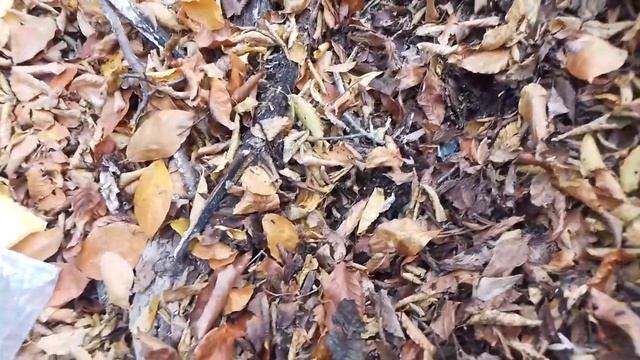 ❗️❗️О составе посылки с микробами и грибами❗️❗️ смотреть онлайн