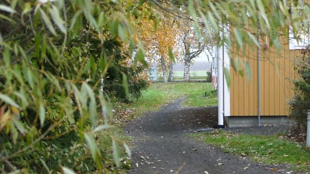 Honda CR85 2-Stroke Big Wheel Dirtbike - Soundcheck Test Ride 2023 (Raw)