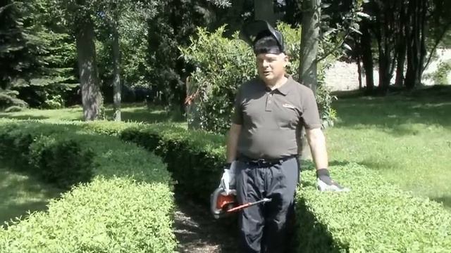Potatura delle siepi: tagliasiepi e biotrituratore смотреть онлайн