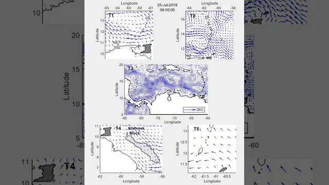 Correlations between sea turtle movement and ocean surface current смотреть онлайн