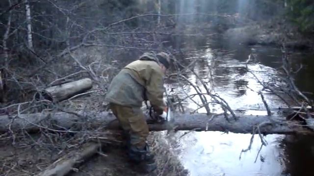 Лэпью 2010. Пилим завалы. смотреть онлайн
