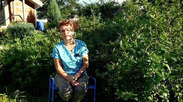 Хотите крупную голубику - секреты выращивания смотреть онлайн