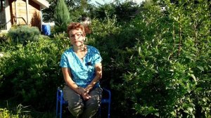 Хотите крупную голубику - секреты выращивания