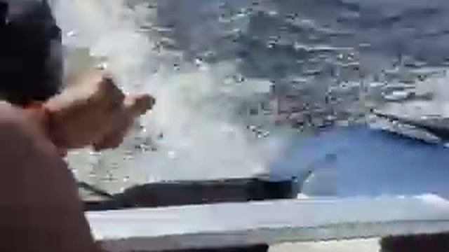 ватрушка летом смотреть онлайн