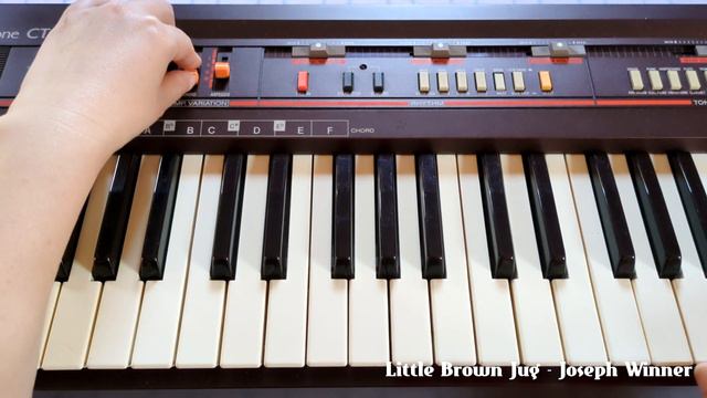 CT-310 (CASIO 80's Vintage Keyboad) Little Brown Jug - Joseph Winner смотреть онлайн