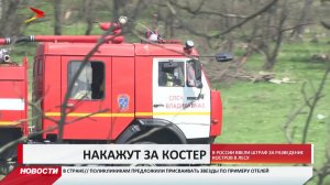 Россиян будут штрафовать за разведение костров в лесу во время режима ЧС