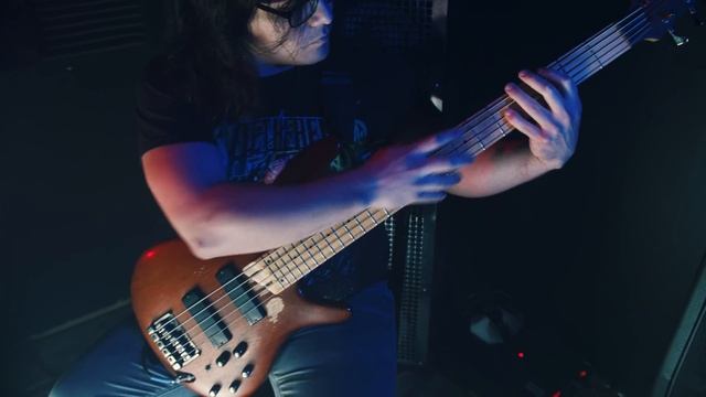THE ODIOUS CONSTRUCT - They Came Through The Mirrors [Guitar and Bass Playthrough 2019] смотреть онлайн