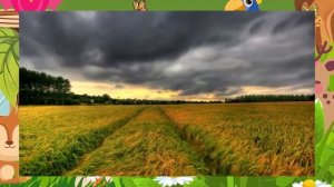 Биология, 5 кл, § 17 "Среды жизни планеты Земля"