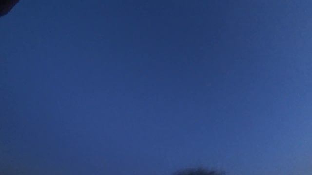 Поймали ОГРОМНОГО КАРПА - МОНСТРЫ В ПОДМОСКОВЬЕ смотреть онлайн