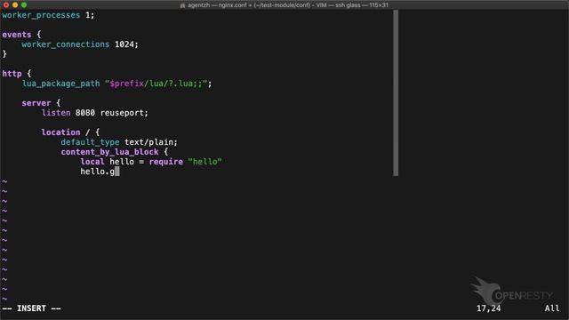 Write Your Own Lua Modules in OpenResty/Nginx Applications смотреть онлайн