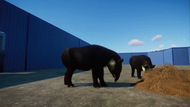 2022 Updates - Outback Pack Info, Remasters, Livestreams, etc. смотреть онлайн