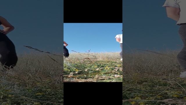 Просто лето