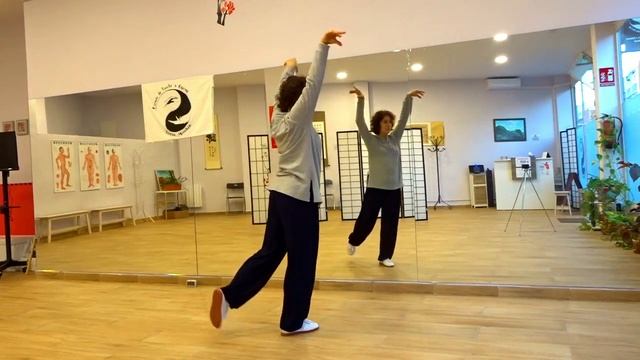 MAWANGDUI Daoyin Shu demostración I Mawangdui back view mirror смотреть онлайн