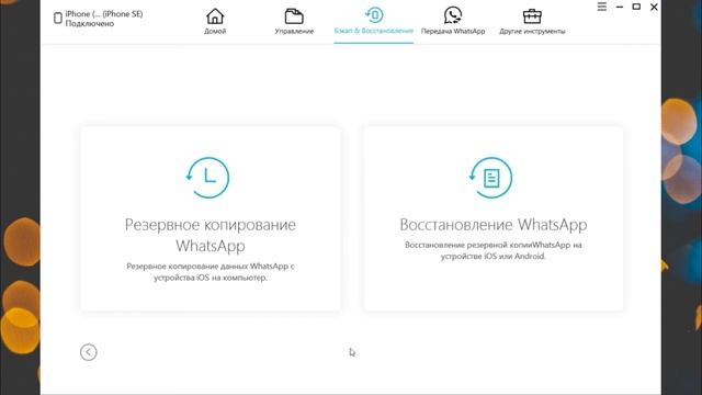Как передать данные What`s App из iOS в Android? смотреть онлайн