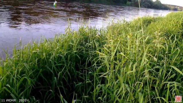 ДНЕПР - СПИННИНГ - ГОЛАВЛЬ - КРЕНК ( 11 июня 2020 г. ) смотреть онлайн