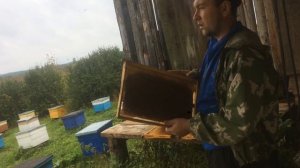 Выбраковка пчелиных рамок. Какие рамки оставлять на следущий сезон. Среднерусская порода.