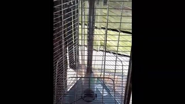 Ballu BOGH 15 Видео как работает смотреть онлайн