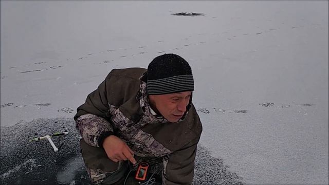 Рыбалка по форели со льда, поимки на блёсна, ратлины и пасту. Клёвое место, д. Савельево.