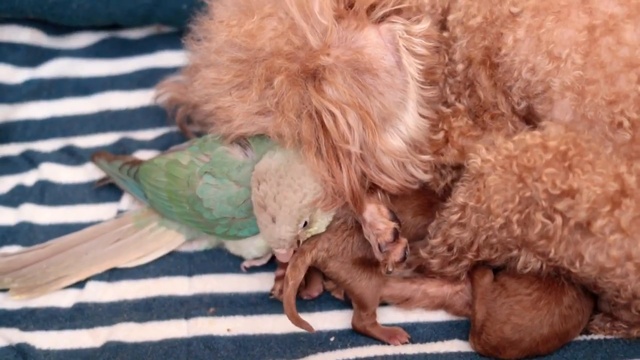 когда умеешь хорошо устраиваться в жизни смотреть онлайн