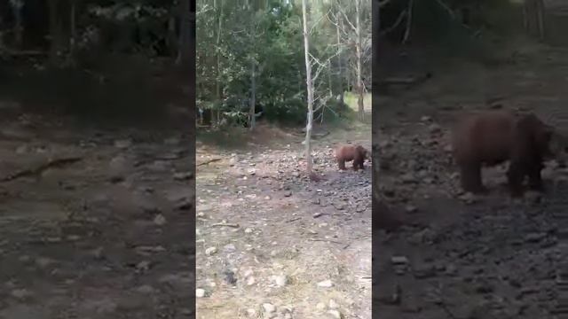 Работаем в условиях дикой природы)) смотреть онлайн