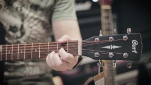 ДВЕ ГИТАРЫ ДЛЯ НОВИЧКА: CORT AD810 И NARANDA DG220