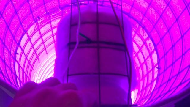 Гроубокс Стандарт. LED-лампа, угольный фильтр, бесшумный вентилятор, таймер, термометр. 120 на 42 с смотреть онлайн