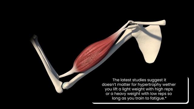 HOW TO BURN BELLY FAT | Dr. Answers смотреть онлайн