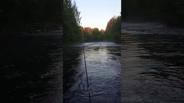 Порог "Медведь" на Западной Двине смотреть онлайн