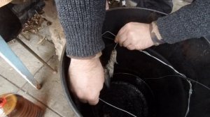 копчение кильки. 08 01 2019